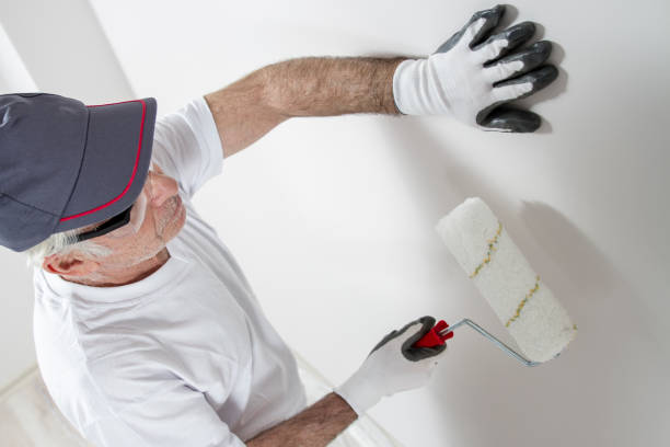Mold Odor Removal Services in Watertown, MN
