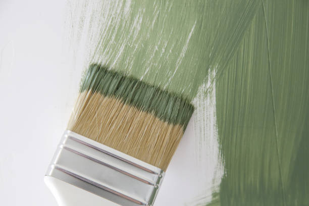 Best Mold Damage Restoration  in Watertown, MN