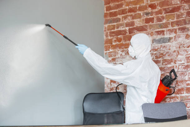 Best Mold Prevention Services  in Watertown, MN