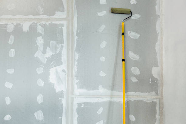 Best Forensic Mold Investigation  in Watertown, MN