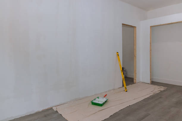 Trusted Watertown, MN Mold Removal Experts