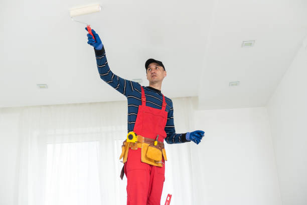 Best Mold Documentation for Insurance Claims  in Watertown, MN