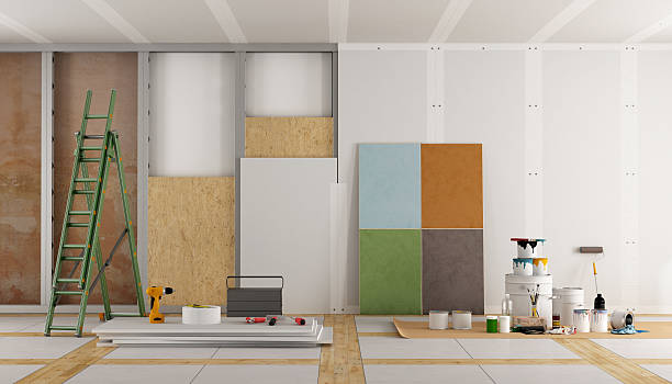 Best Mold Remediation for Rental Properties  in Watertown, MN