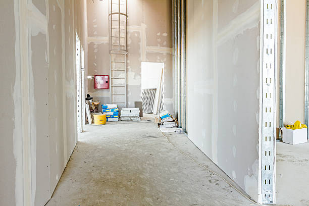 Mold Remediation for Rental Properties in Watertown, MN