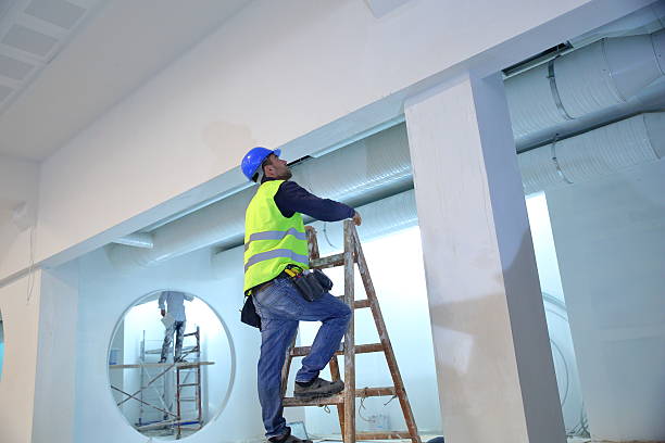Best Attic Mold Removal  in Watertown, MN