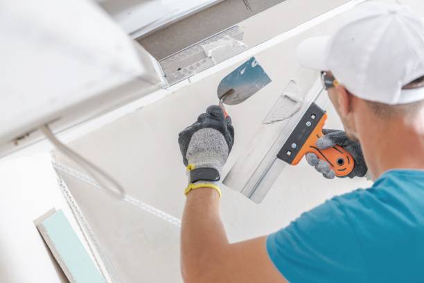 Best Mold Odor Removal Services  in Watertown, MN